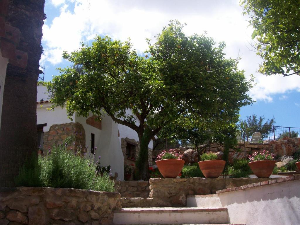 הוילה פראדו דל ריי Casa De Abajo מראה חיצוני תמונה